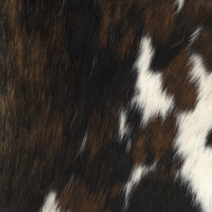 Designer Pony Brindle