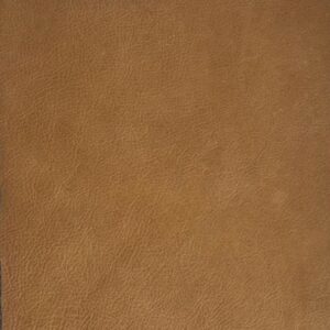 Duran Wheat