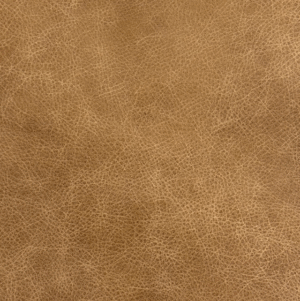 Saloon Camel
