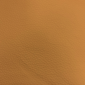 Cashmere Camel