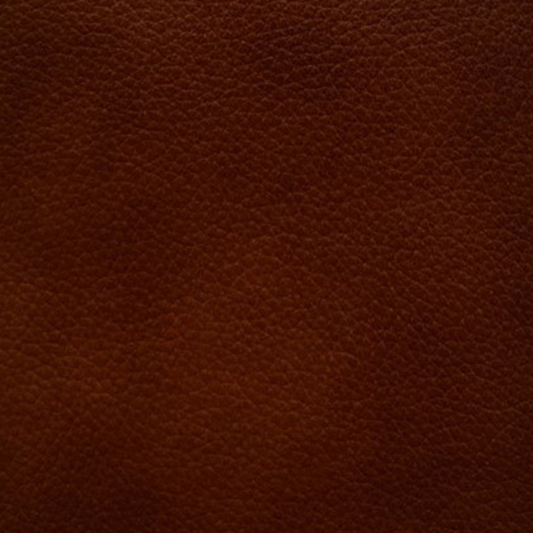 showbiz cognac leather